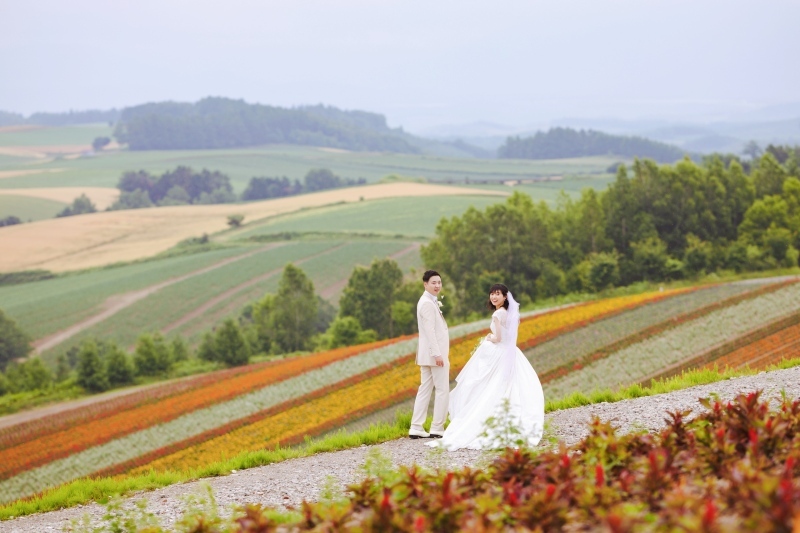 丘のうえ（Hills Studio）_投稿写真