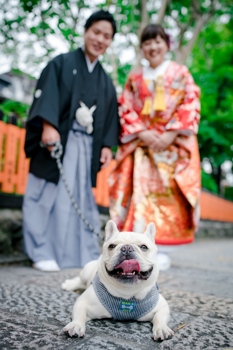 思い描いた和装撮影ができました！_33933_投稿写真_1