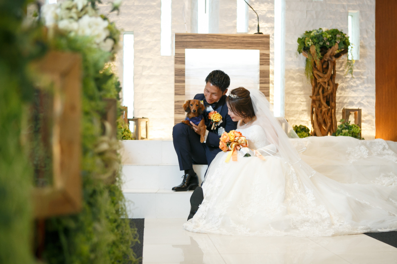 ペットといっしょに！スタッフさんがとにかく素敵な方たち‼︎_33935_投稿写真_1