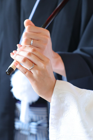 こぶたしゃしんかん_アドバイス写真