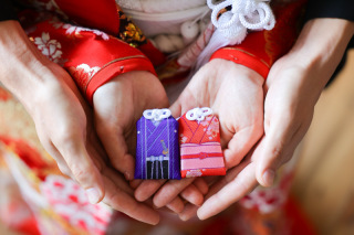 こぶたしゃしんかん_アドバイス写真