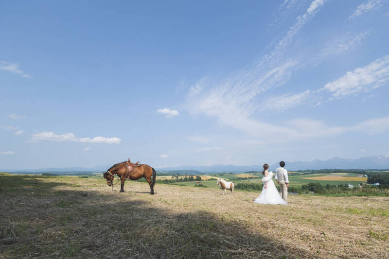 STUDIO SOLA 美瑛店（スタジオSOLA）_投稿写真
