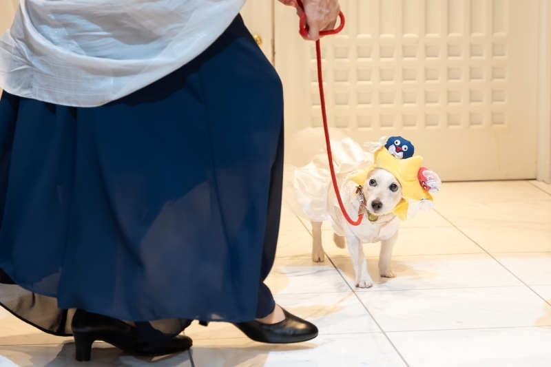 サンライズ・デジタル_投稿写真