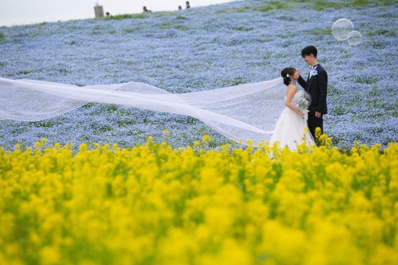 ル・トレフル produced by スタジオエス_投稿写真