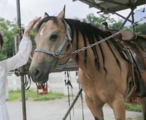 STUDIO 8 名古屋店（スタジオ8）_アドバイス写真