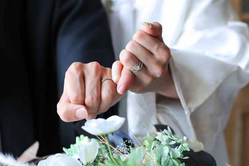 こぶたしゃしんかん_投稿写真