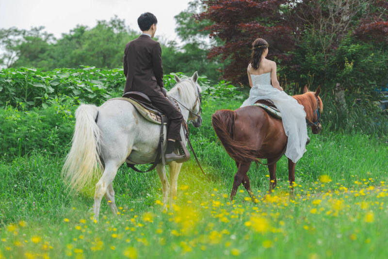 馬に乗りながらフォトウェディング_34494_投稿写真_2