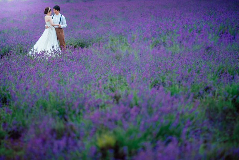 【カントリープラン】雨のラベンダー畑で撮る幻想的な前撮り_34508_投稿写真_3