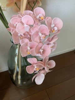 STUDIO AQUA 横浜みなとみらい店（スタジオAQUA）_アドバイス写真