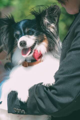 Jheart 江ノ島（ジェイハート エノシマ）_アドバイス写真