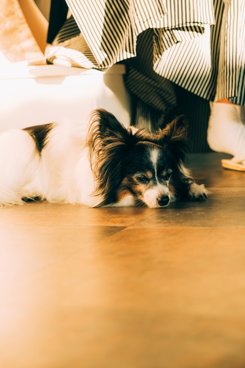 Jheart 江ノ島（ジェイハート エノシマ）_投稿写真