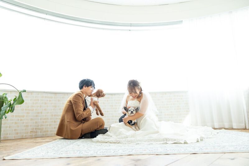 大切なペットや家族にとって居心地の良いスタジオでした！_35389_投稿写真_3