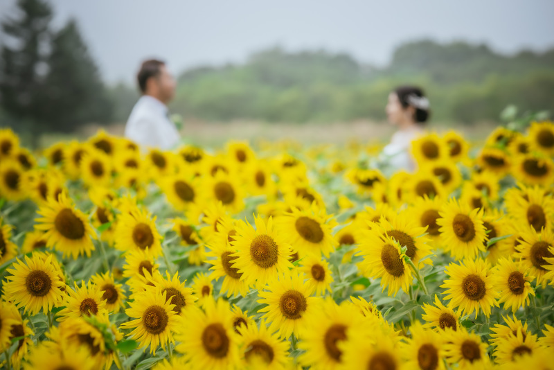 ウエディングドレス クロエ_投稿写真