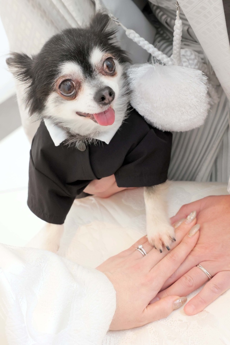 スタジオがとても綺麗で中庭でも撮影できます_35108_投稿写真_3