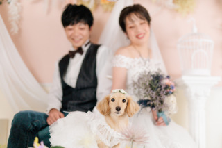 Rita closet・Rita Photo_アドバイス写真