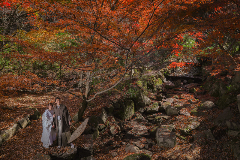 紅葉の中で素敵なロケーション撮影ができます◎_35125_投稿写真_1