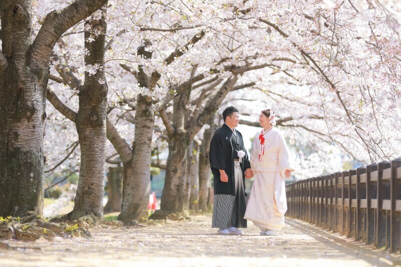 桜、ひまわり、紅葉…自分の好きなロケーションで思い出の一枚を_35554_投稿写真_2