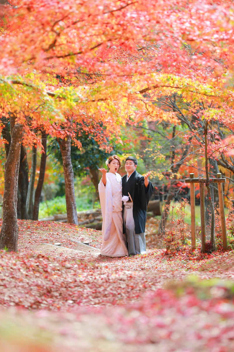 photo flow_投稿写真