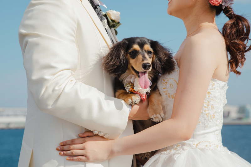 ONESTYLE 横浜_投稿写真