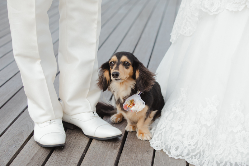 ONESTYLE 横浜_投稿写真