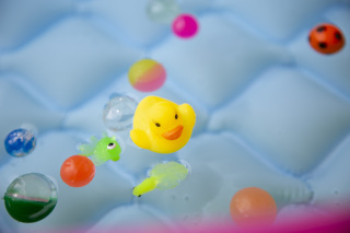 いぬづか写真室_アドバイス写真