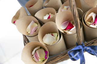 いぬづか写真室_アドバイス写真