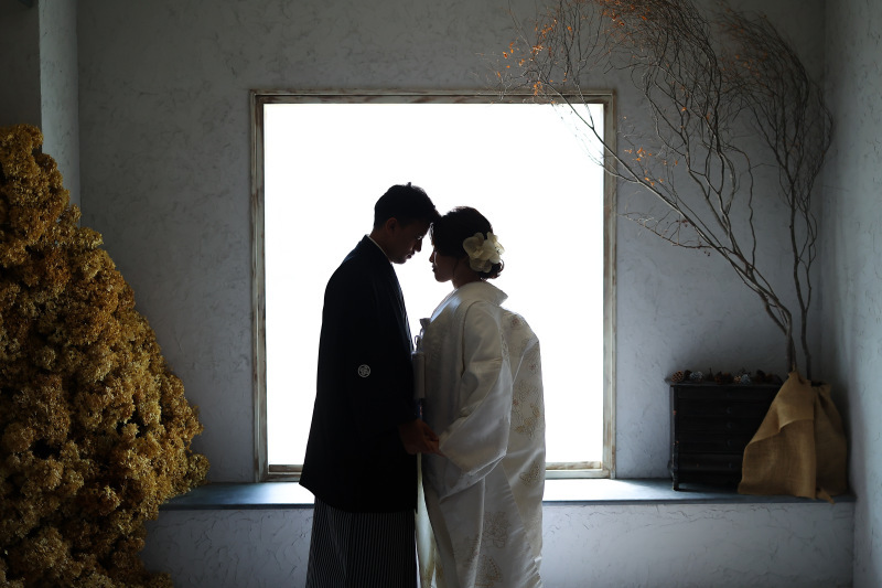 こぶたしゃしんかん_投稿写真