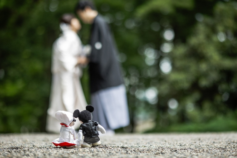 和装にぴったりのロケーション撮影が可能です！_35516_投稿写真_3