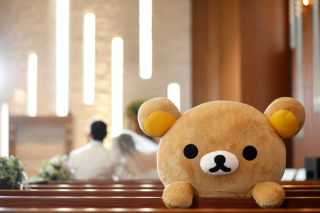 RES WEDDING 大分店_アドバイス写真