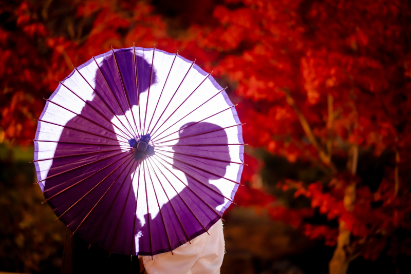 Arch Bridal_投稿写真