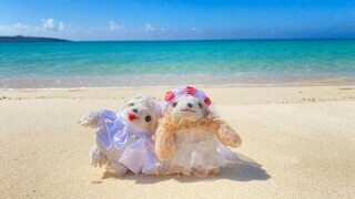 HIRARI_アドバイス写真