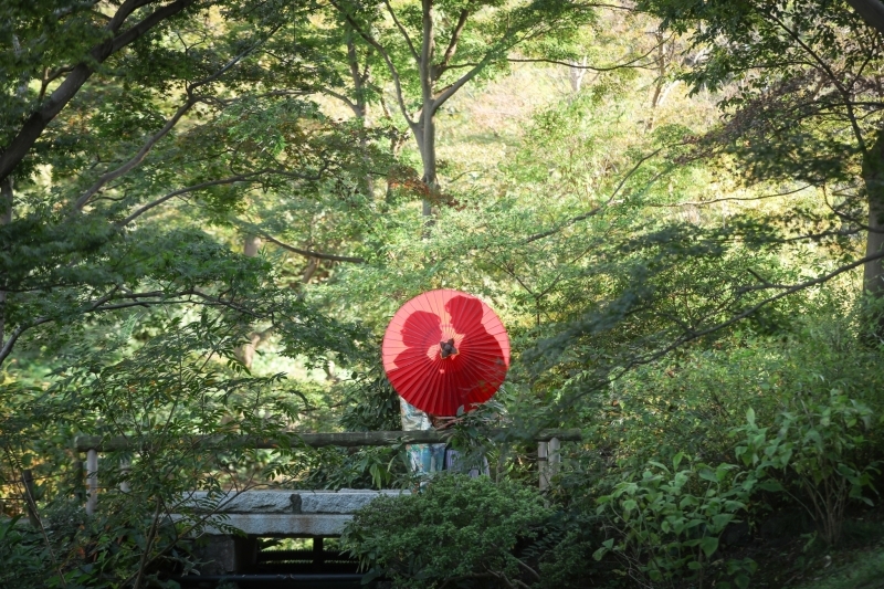 華雅苑 横浜店_投稿写真