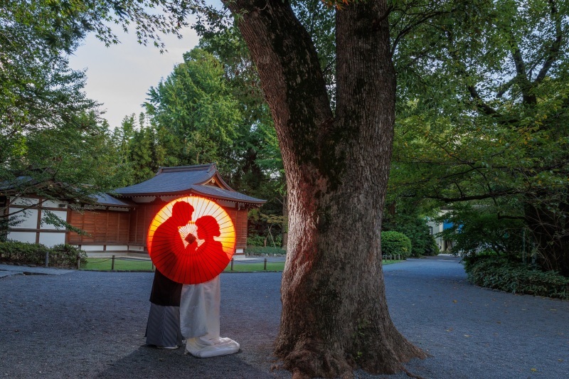 華雅苑　阿佐ヶ谷店_投稿写真