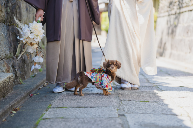 和装ロケーションフォト お寺での撮影_36267_投稿写真_1