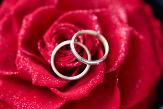 サロンドパルール　salon de parure_アドバイス写真