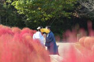 マリアージュ　ことぶき_アドバイス写真