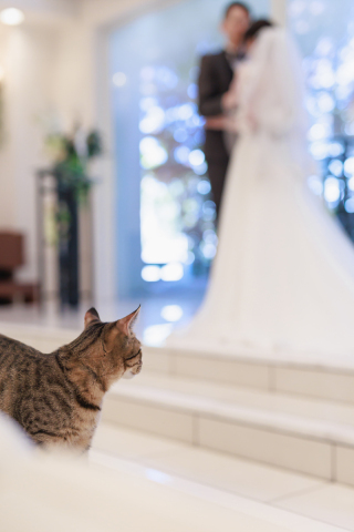 Rita closet・Rita Photo_アドバイス写真