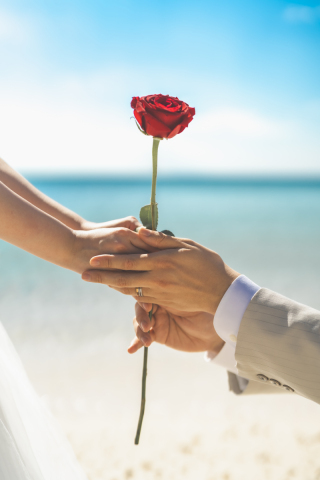 capryフォトウェディング宮古島（キャプリィフォトウェディング宮古島）_アドバイス写真