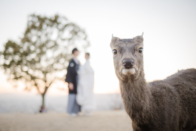 スタッフが明るく、自然と楽しく撮影できました_36810_投稿写真_3