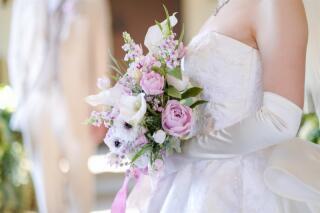 ONE PHOTOWEDDING OSAKA-JO_アドバイス写真