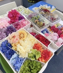 華雅苑　浅草橋本店 _アドバイス写真