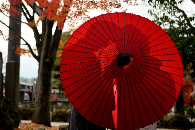 山田写真館_投稿写真