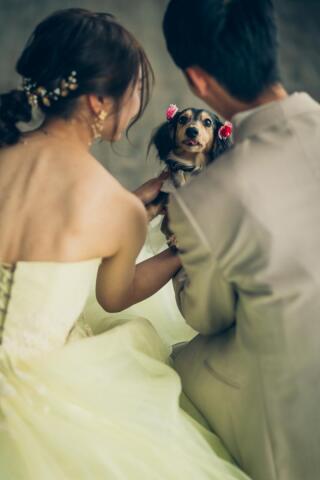 Bridal Photo Studio Lien ～リアン～ 広島店_アドバイス写真