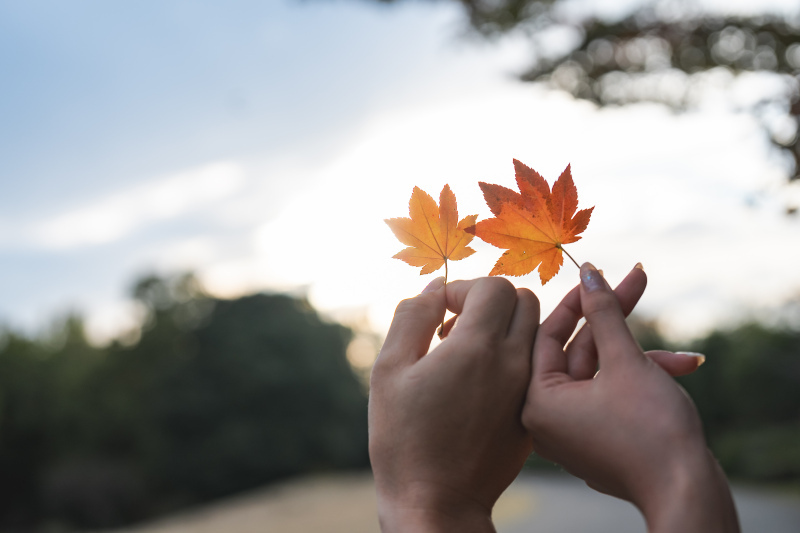 ロケーション撮影がおすすめ！_37074_投稿写真_1