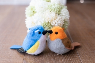 写真だけの結婚式　ecoo（エクー）_アドバイス写真