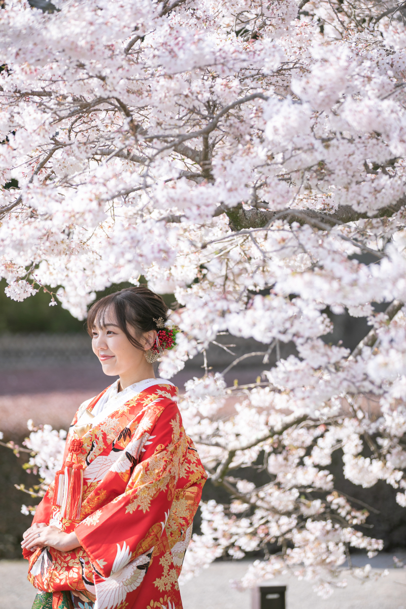 小貫写真館 Paseo nuevo水戸_投稿写真