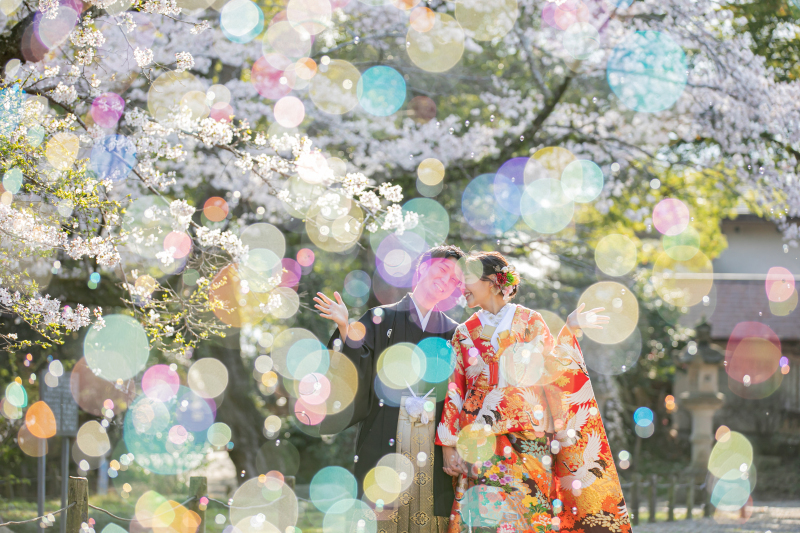 小貫写真館 Paseo nuevo水戸_投稿写真