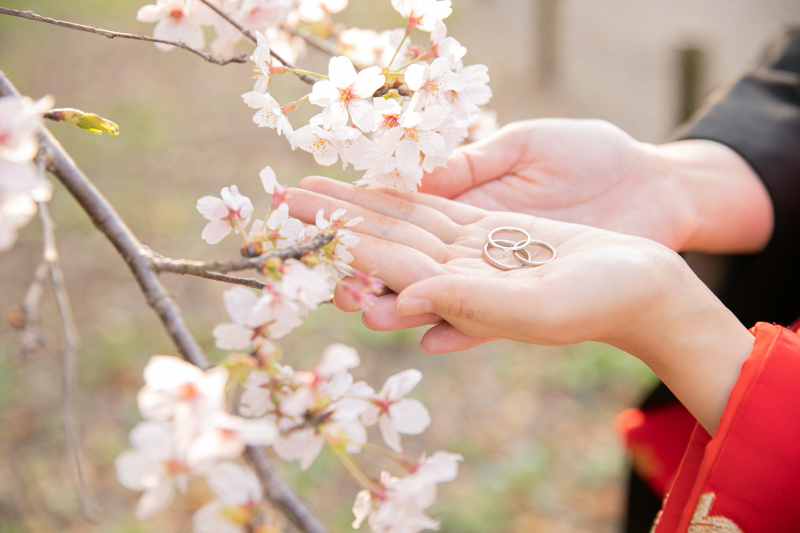 小貫写真館 Paseo nuevo水戸_投稿写真