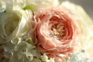 Imagegraph STUDIO_アドバイス写真