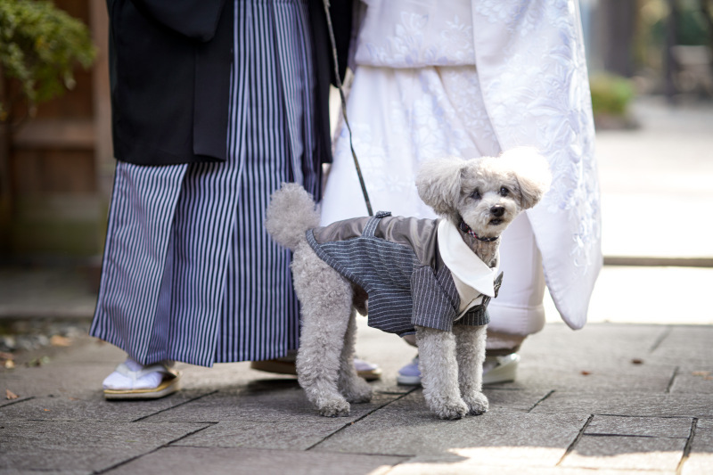 衣装の料金アップなしで安心して選べる_37366_投稿写真_3
